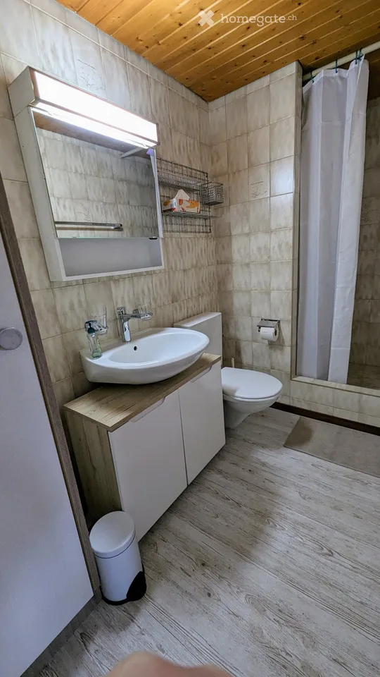 Appartement de 1,5 pièces meublé à louer