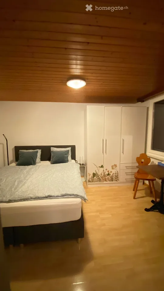 Appartement de 1,5 pièces meublé à louer