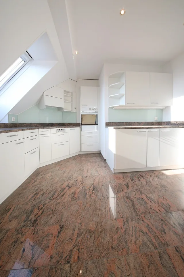 Appartement de charme rénové avec 2 terrasses sur le toit, district 6