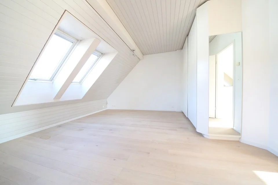 Appartement de charme rénové avec 2 terrasses sur le toit, district 6