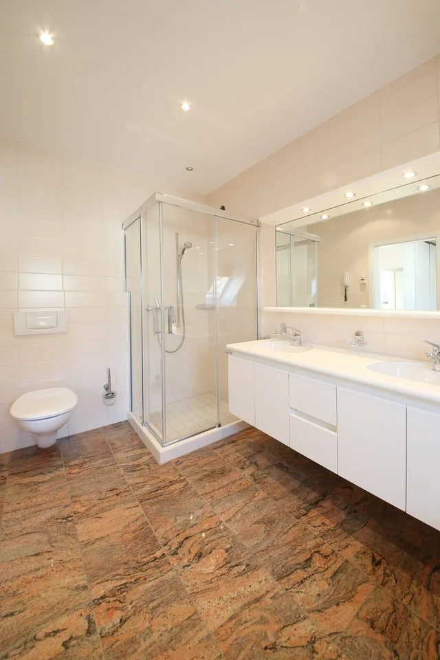 Appartement de charme rénové avec 2 terrasses sur le toit, district 6