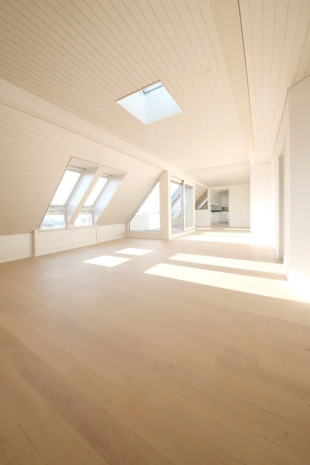 Appartement de charme rénové avec 2 terrasses sur le toit, district 6