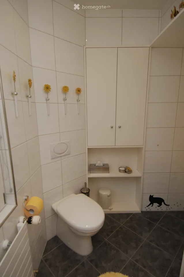 Charming 3.5-room old building apartment in Baden