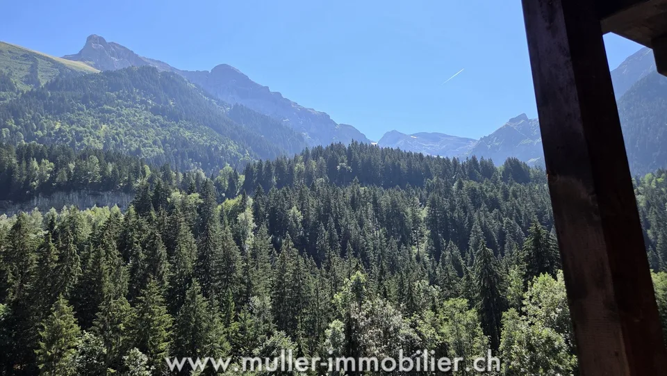 Geräumiges Chalet, Blick auf die Dents du Midi in Champéry