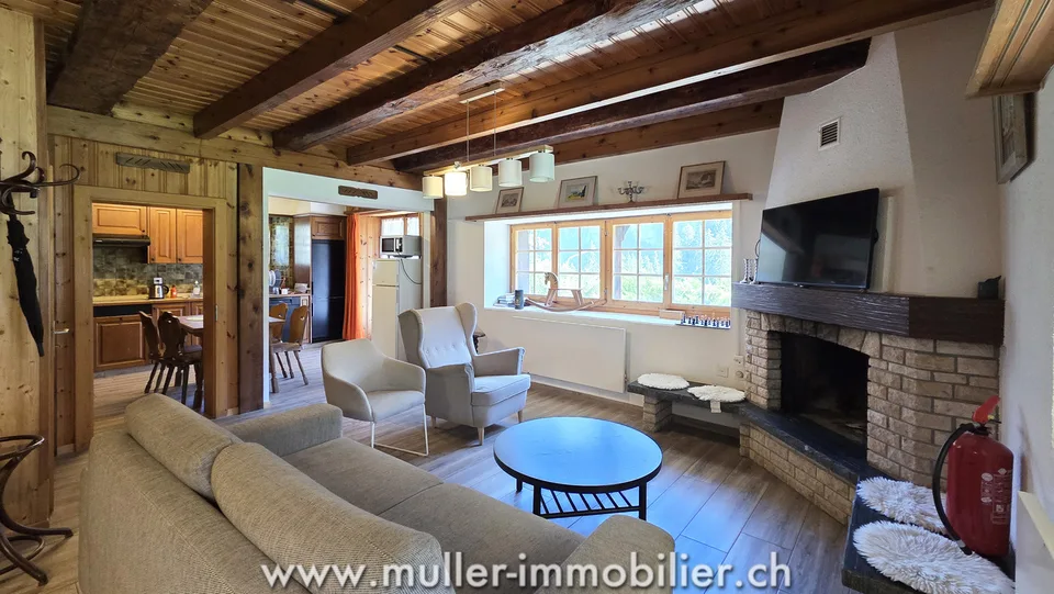 Geräumiges Chalet, Blick auf die Dents du Midi in Champéry