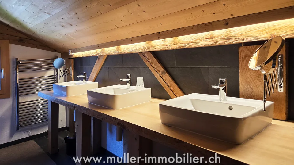 Geräumiges Chalet, Blick auf die Dents du Midi in Champéry