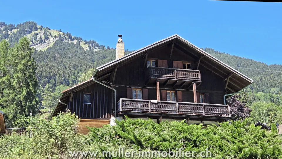 Geräumiges Chalet, Blick auf die Dents du Midi in Champéry