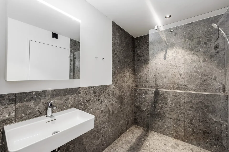 Nouveau bâtiment : Appartement 1.5 pièces meublé avec style