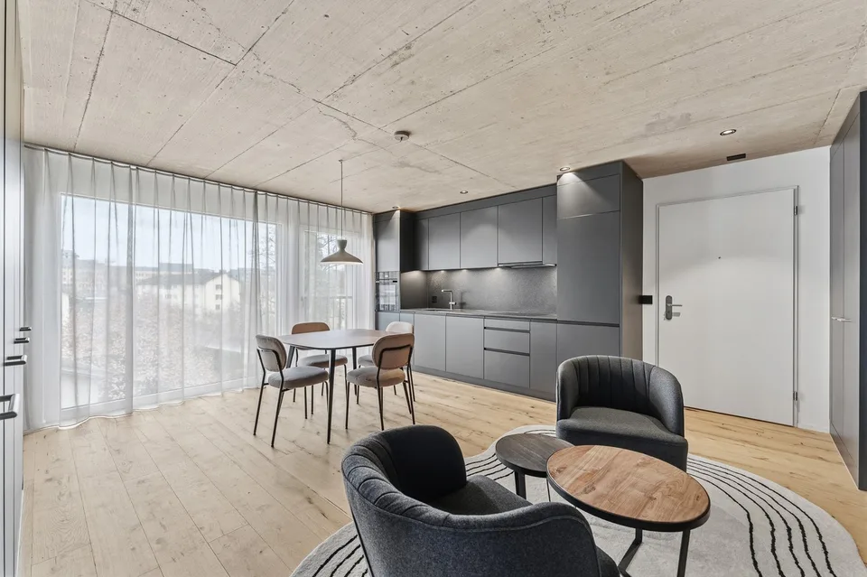 Nouveau bâtiment : Appartement 1.5 pièces meublé avec style