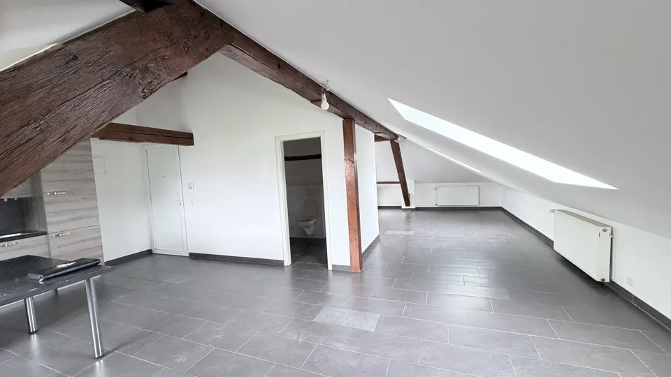 Beautiful 52 m² attic loft with exposed beams - Orbe