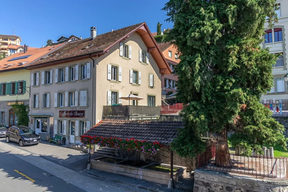 Fully renovated 4.5-room apartment