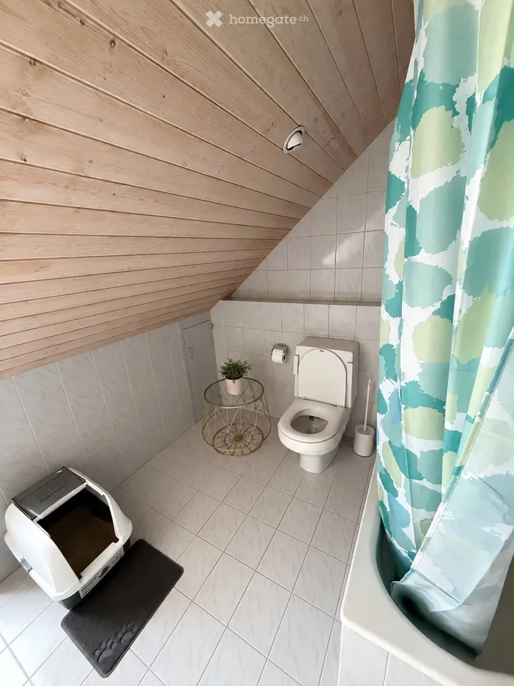 Attika Wohnung