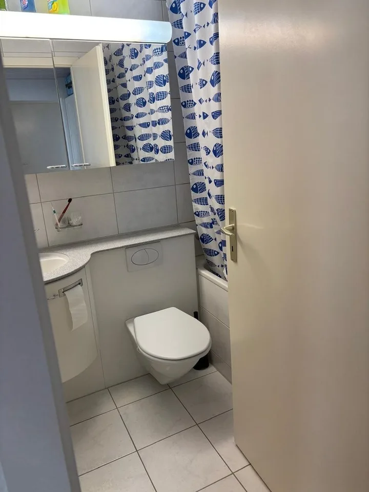 Appartamento di 2 camere vicino alla stazione di Thalwil in affitto