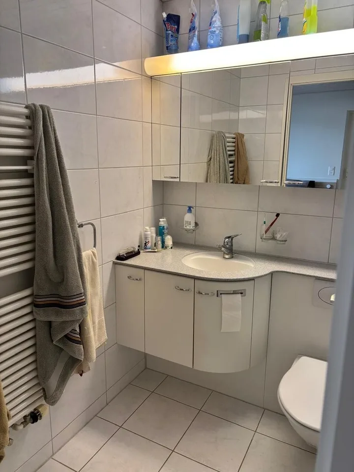 Appartamento di 2 camere vicino alla stazione di Thalwil in affitto