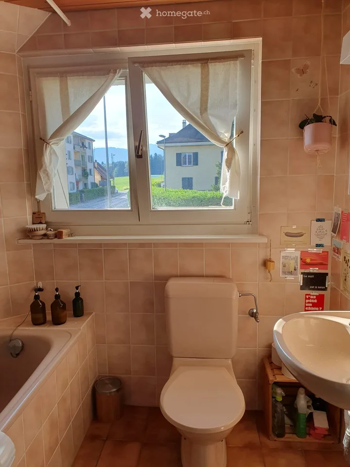 Schöne sonnige 3,5-Zimmer-Wohnung in Palézieux-Gare