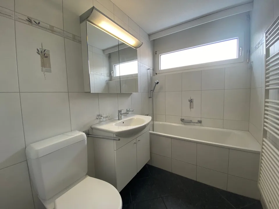 gemütliche 4.5 - Zimmerwohnung an zentraler Lage im steuergünstigen Freienbach