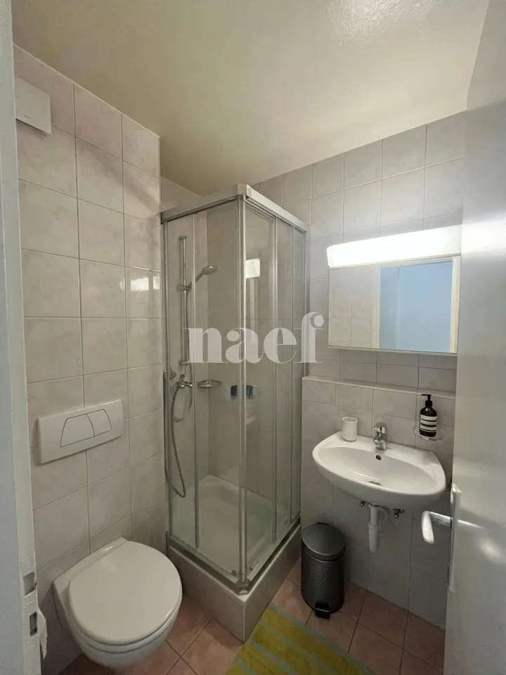 One-room apartment in Neuchâtel