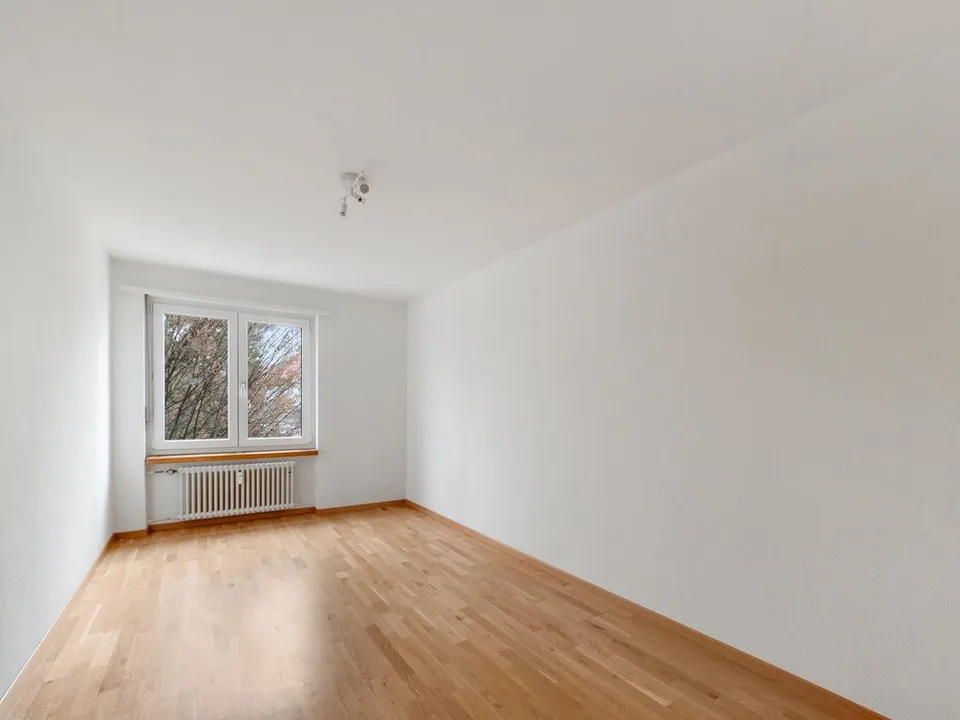GEMÜTLICHE WOHNUNG IN BIRSFELDEN ZU VERMIETEN