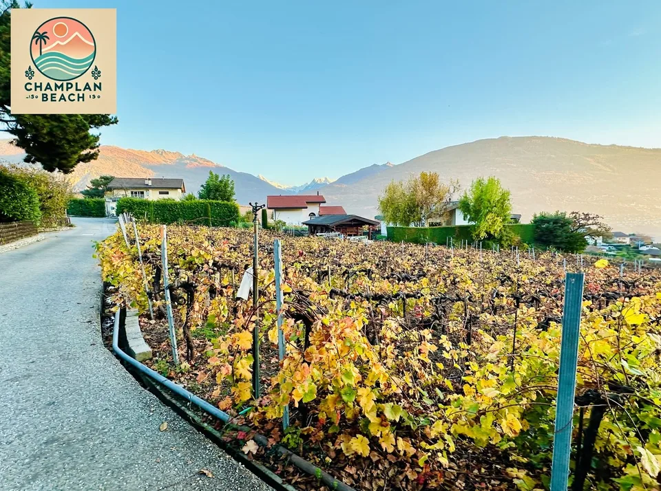 Building plot with exceptional views in Grimisuat