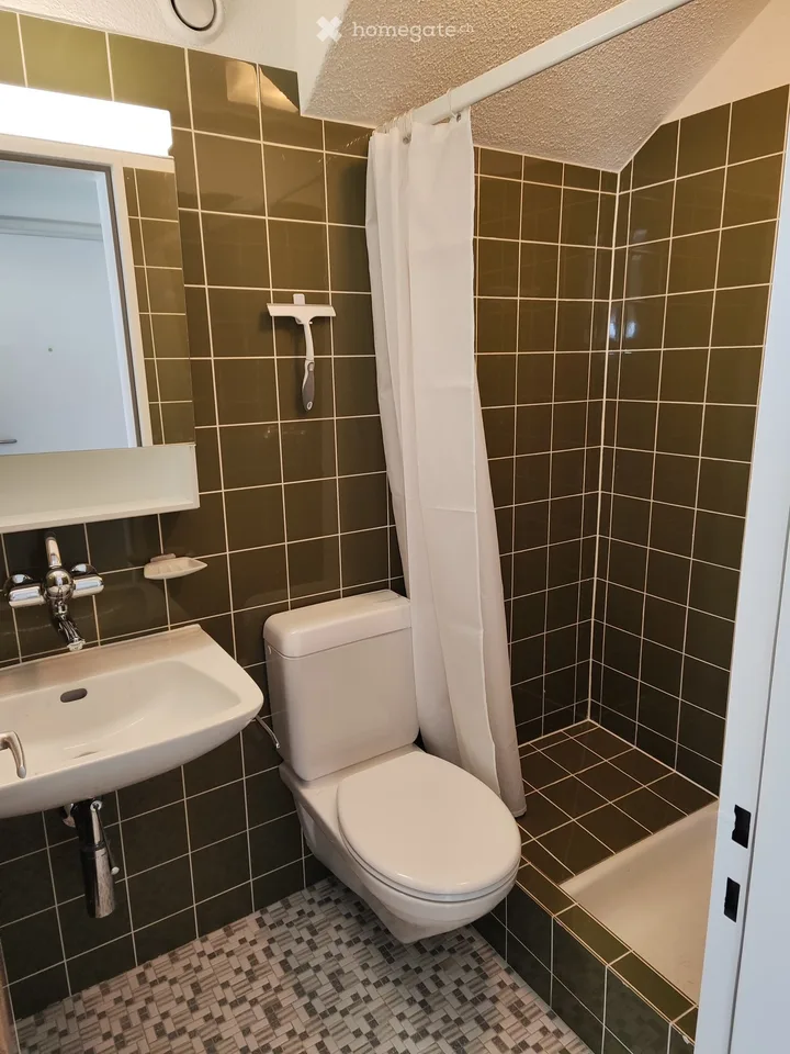 Einliegerwohnung teilmöbliert in Wettingen