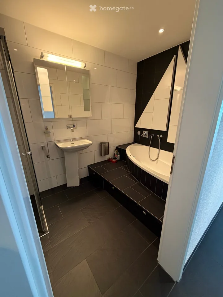 Wunderschöne 3.5-Zimmer-Wohnung direkt am See im Hafen Thal / Staad SG