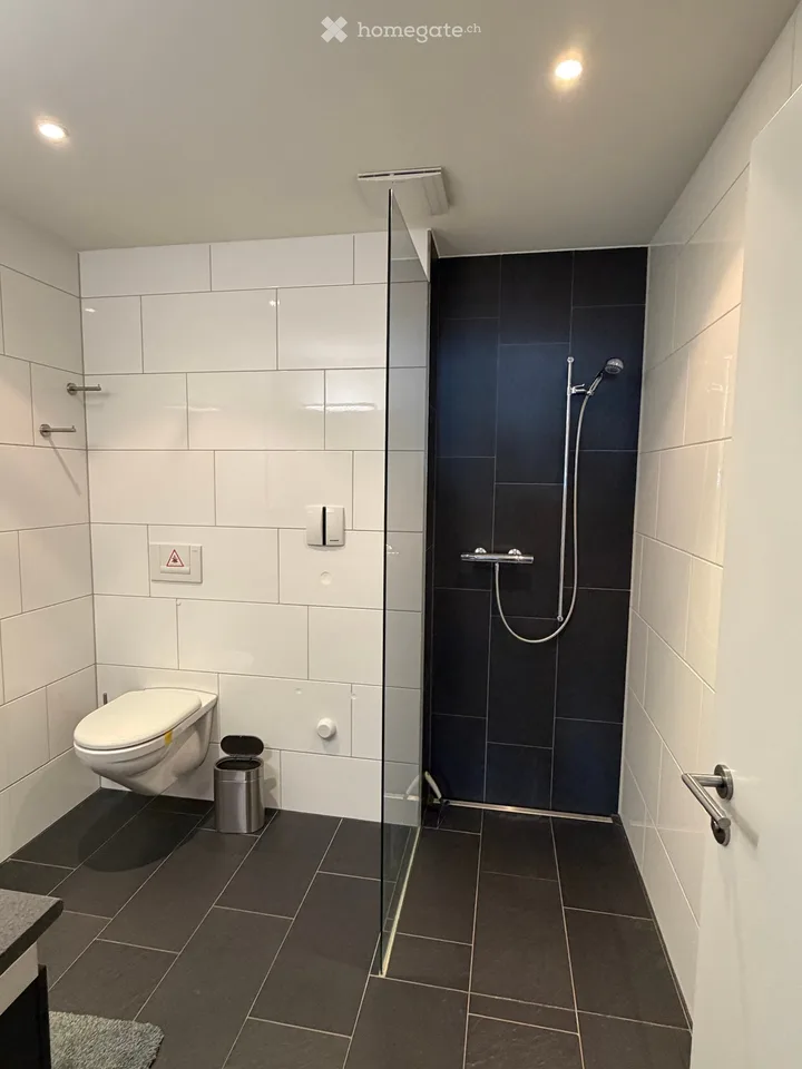 Wunderschöne 3.5-Zimmer-Wohnung direkt am See im Hafen Thal / Staad SG