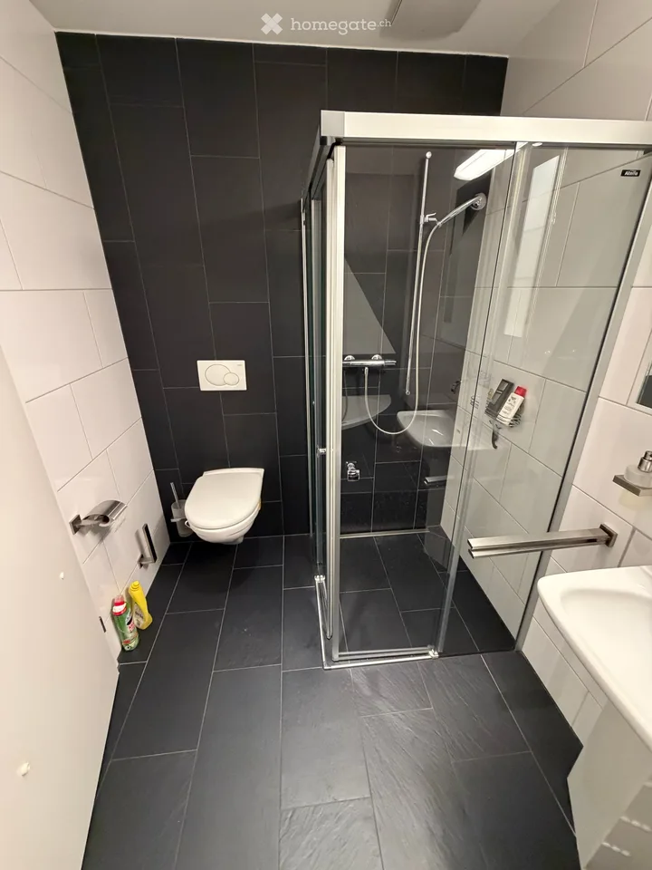 Wunderschöne 3.5-Zimmer-Wohnung direkt am See im Hafen Thal / Staad SG