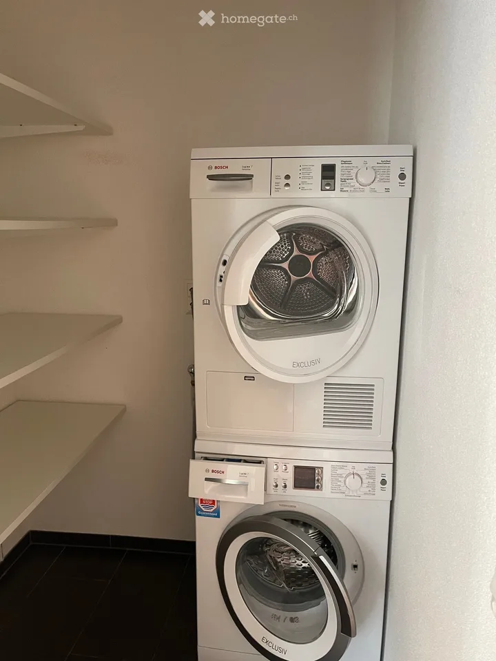 Moderne 3.5-Zimmer-Wohnung mit Seeblick im Hafen Thal / Staad SG