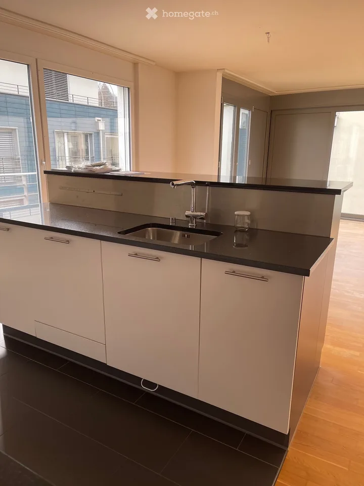 Moderne 3.5-Zimmer-Wohnung mit Seeblick im Hafen Thal / Staad SG