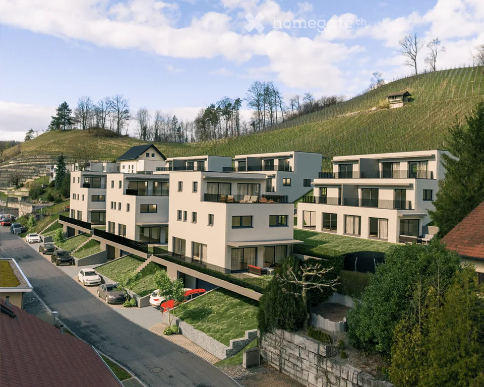 Doppeleinfamilienhaus in Tegerfelden - sonnenverwöhnte Lage im Zurzibiet