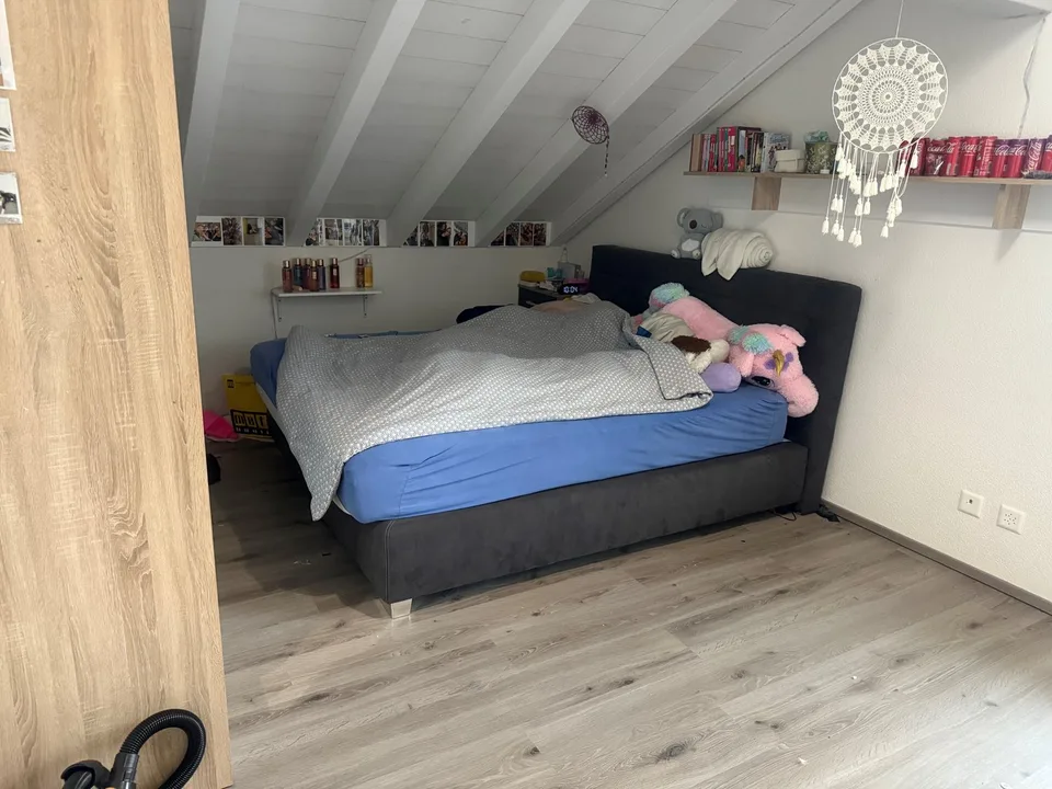 Beautiful 4.5-room apartment on the 2nd floor