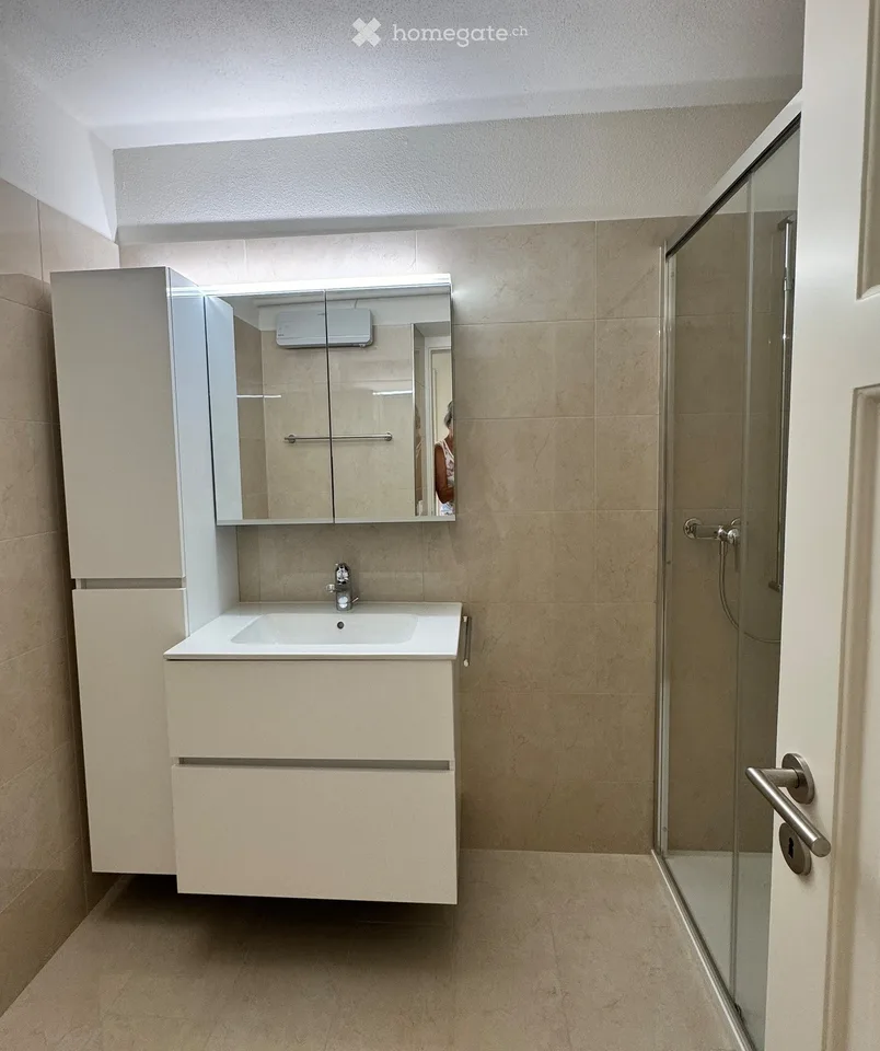 APPARTAMENTO 3.5 locali, con vista Lago ad Ascona
