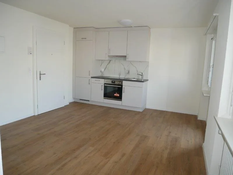 Renovierte 1-Zimmer-Wohnung in Wangen b. Olten mit Balkon