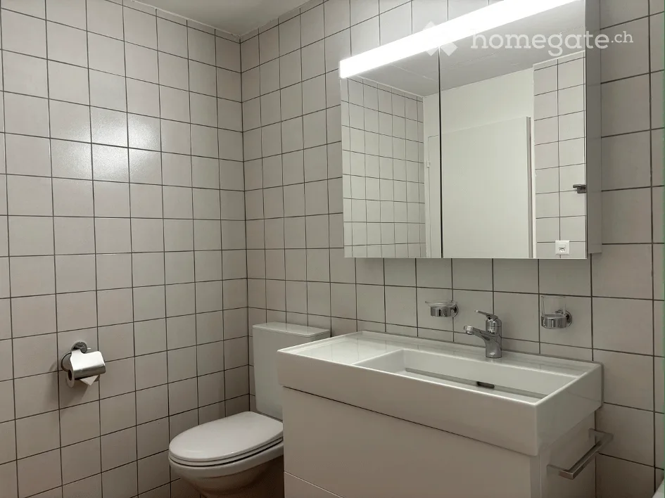 Freshly renovated 3-story gem with mountain view & terrace