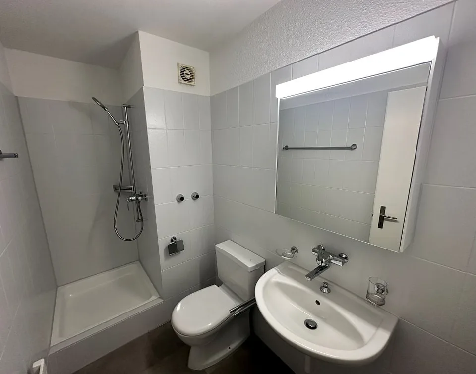 4 1/2-Zimmerwohnung, 1. Stock links