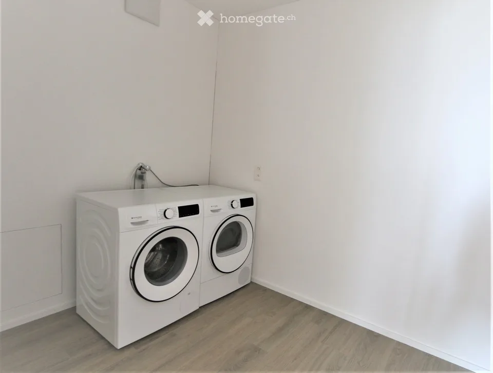 Appartement 3.5 pièces au Rosenweg 1 à 6234 Triengen