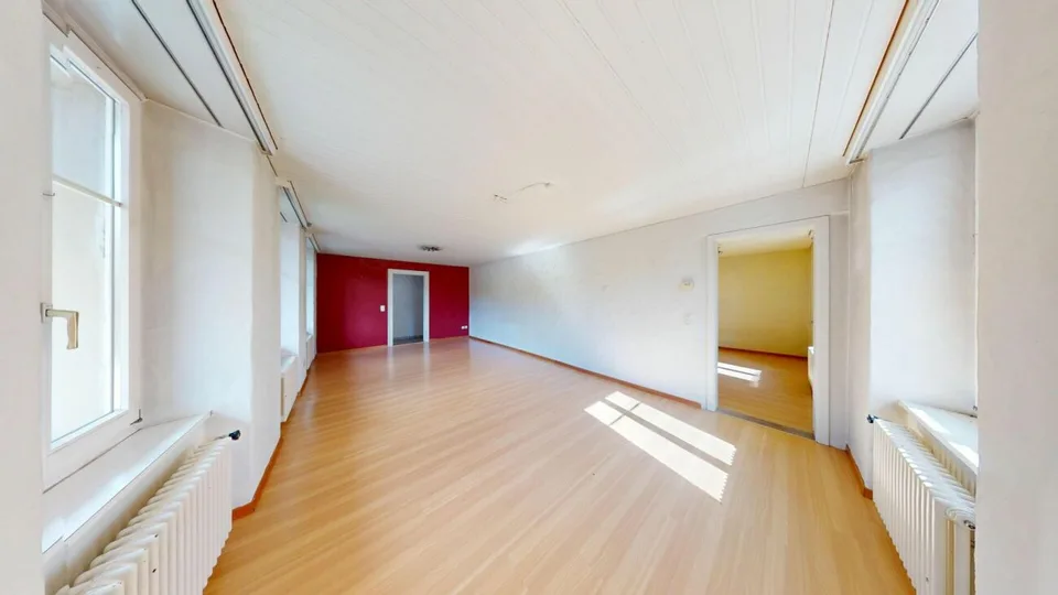Detached spacious wonder with large extension and enormous potential
