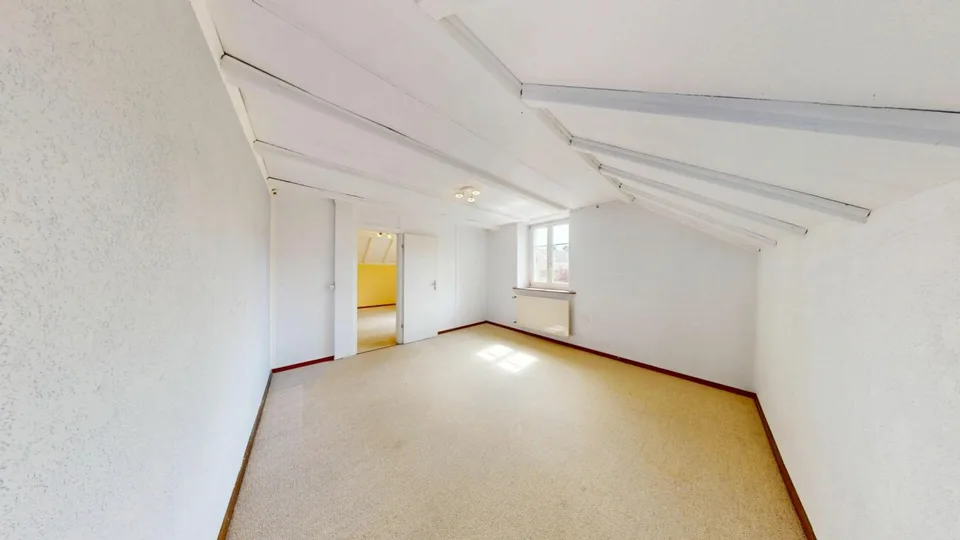 Detached spacious wonder with large extension and enormous potential