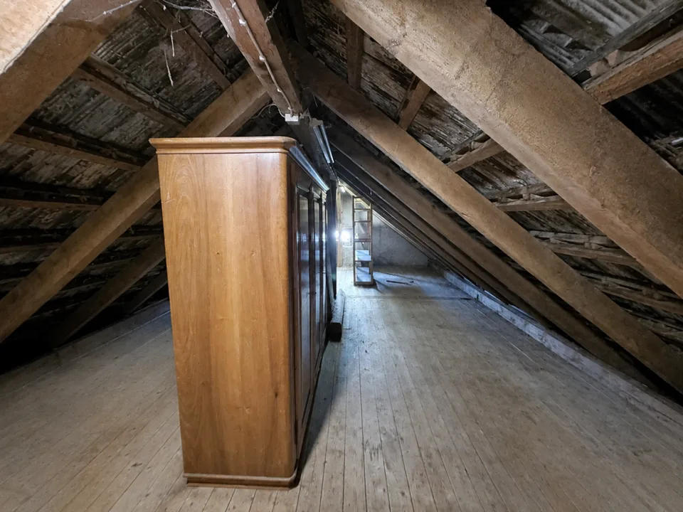 Detached spacious wonder with large extension and enormous potential