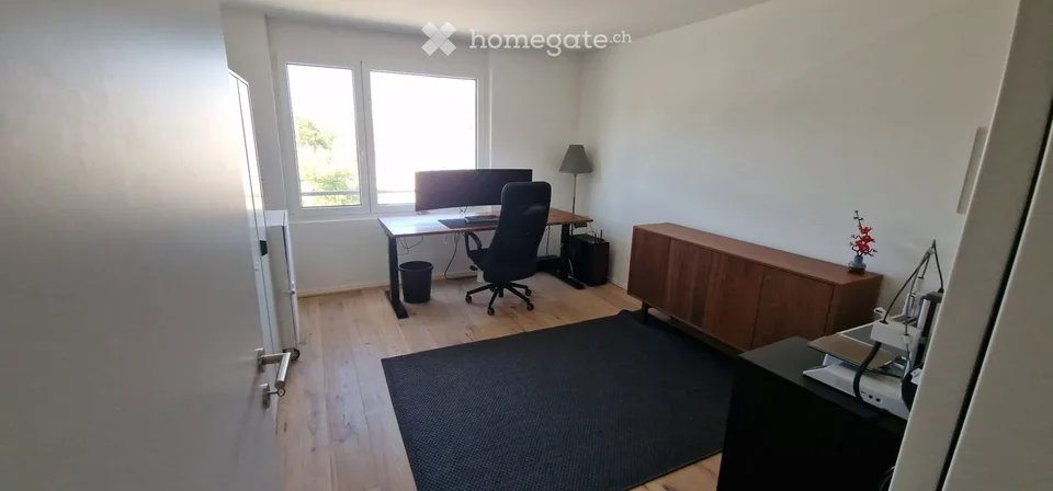 Bright 85 m² Attic Apartment in Zürich