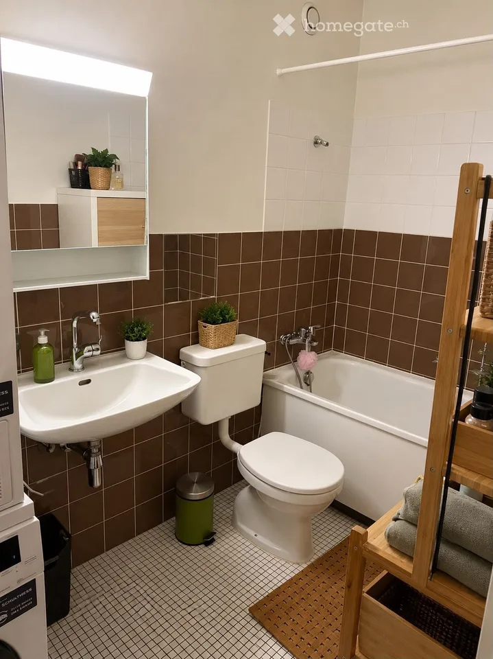 Übernahme des Mietvertrags Magnifique 7 Zimmer von 124 m² in Meyrin