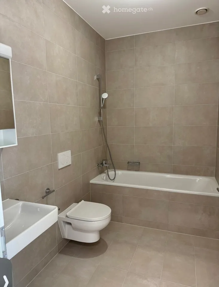 For rent immediately Beautiful 2.5-room apartment in Sion