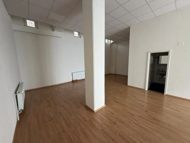 Appartement loft à Bâle !
