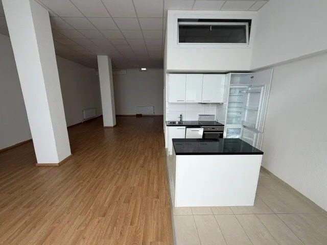 Appartement loft à Bâle !