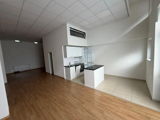 Appartement loft à Bâle !