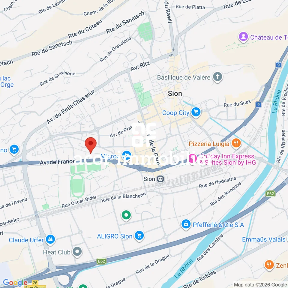 SION CENTRE - 4,5 PIÈCES DE 201 M² - JARDIN DE 106 M²- TERRASSES - SUD – photo 6 sur 11