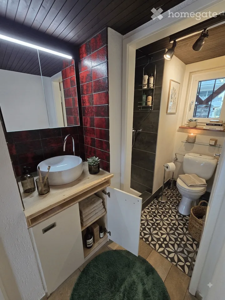 Maison de famille charmante de 6 pièces avec jardin dans un emplacement central à Baar