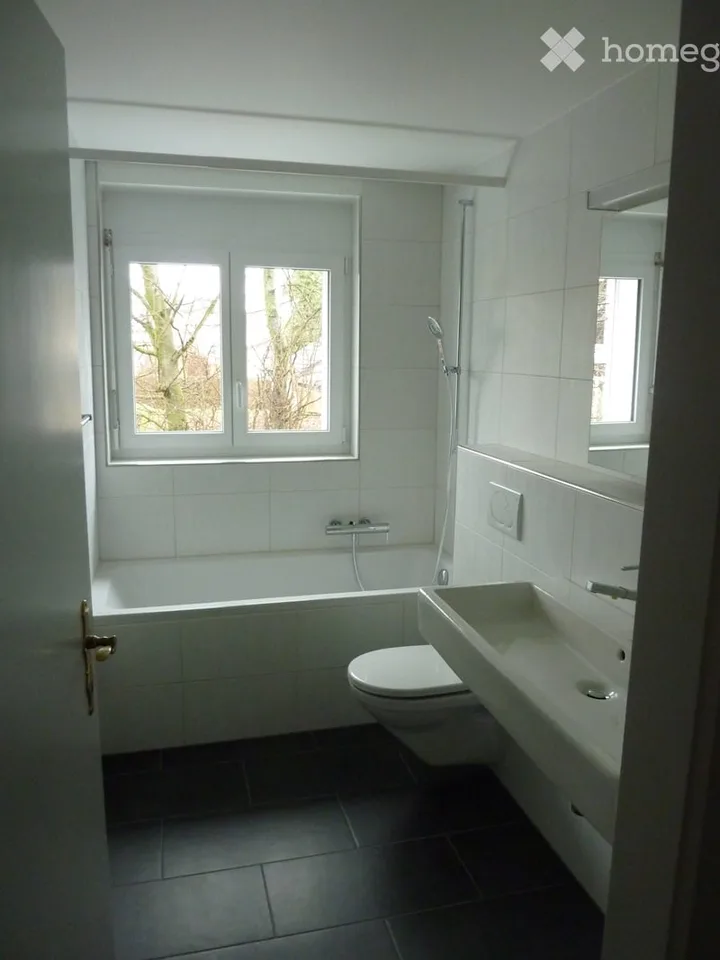 3-5-Zimmer-Wohnung an zentraler Lage in Reinach zu vermieten
