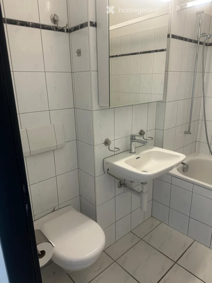 Modern 2.5-room apartment near the train station with a lake view