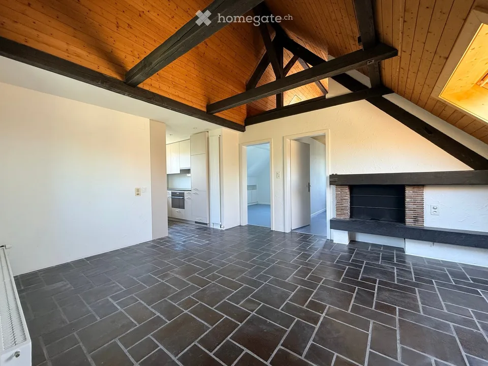 Magnifique appartement maisonnette 6 pièces avec vue sur le lac et la campagne